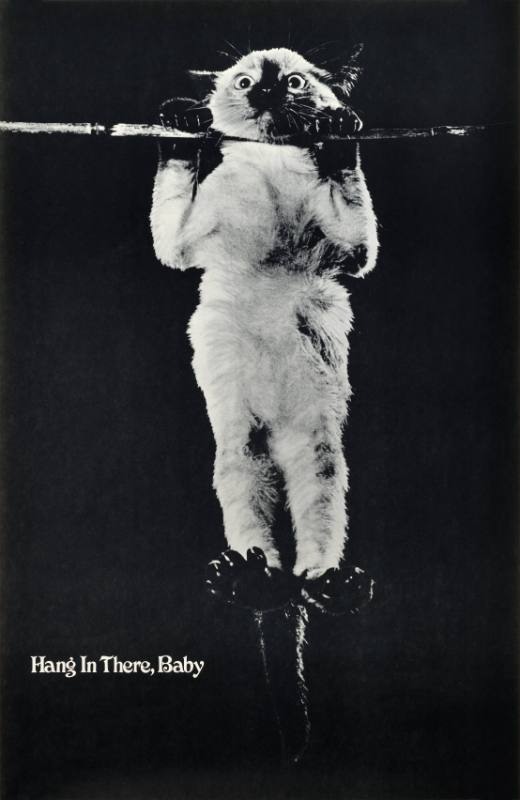 Historic black-and-white poster of Sassy the kitten clinging to a bamboo pole with the phrase “Hang In There, Baby.”