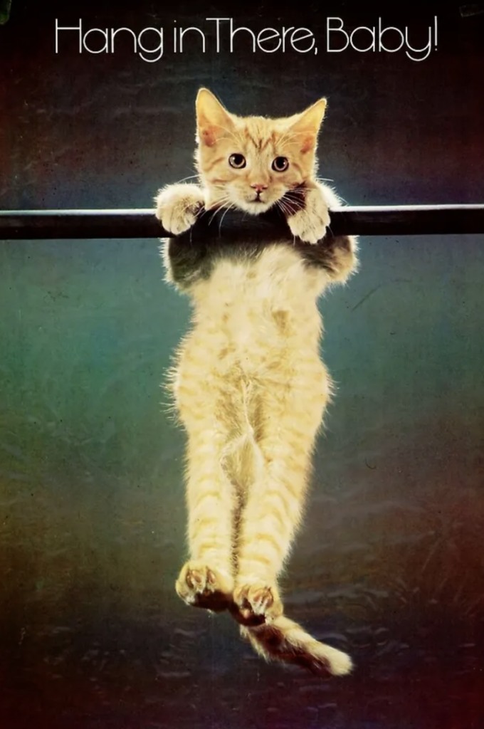 Vintage orange kitten poster illustrating the enduring “Hang In There, Baby” message.